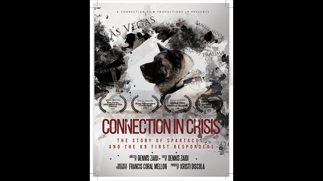 Connection in crisis
