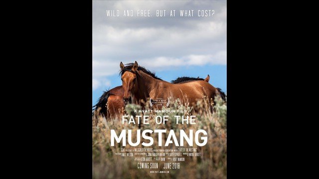 Fate of the Mustang