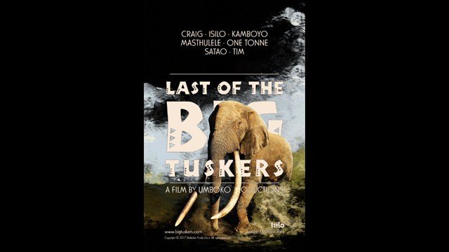 Last of the Big Tuskers